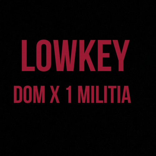 LOWKEY(FEAT.1MILITIA)