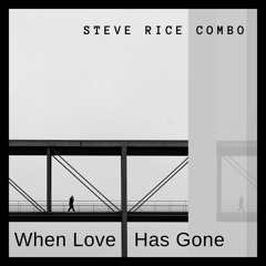 When Love Has Gone (feat. Stephanie Porter)