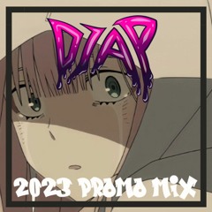 DJ AP - 2023 Promo Mix