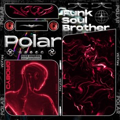 POLAR - Funk Soul Brother (DL)