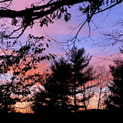 the times change, and we change with them