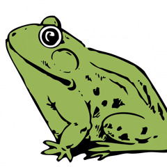 Små Grodorna (Vimo Remix)