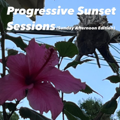 Progressive Sunset Sessions (Sunday Afternoon Edition) 8