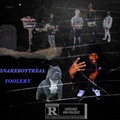 SNAKEBOYTREAL - Foolery