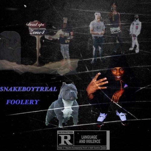 SNAKEBOYTREAL - Foolery