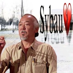 slits? - Mr.Miyagi(leak)