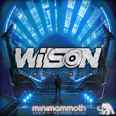 Wilson -  Only Now (new sample)