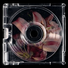 Japones - Same Bass (icon)
