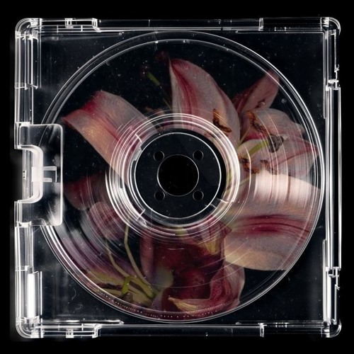 Japones - Same Bass (icon)
