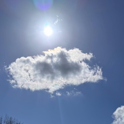 Sunshine