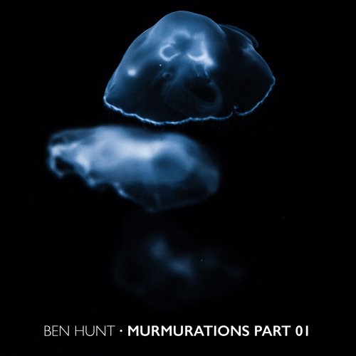 Murmurations Part 01