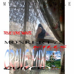 MONKER178_signal_03