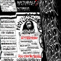 MIDSIZEDSEDANCE Live @ Naturalism 2 [5.10.24] (Dubstep, Jungle, Breakcore Mix)