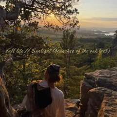 Sunlight (branches of the oak tree) (Prod. @elentflow)