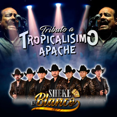 El Regreso de la Medallita