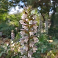 Haunted Dancehall (26.05.2024)