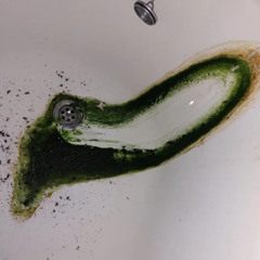 I JUST GOONED IN MY BATHTUB