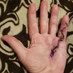 The Gnaw Hand Of Franklinos