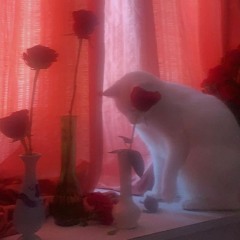 ☽︎ Eri Kojima - Lonely Feeling (𝗩𝗮𝗽𝗼𝗿𝘄𝗮𝘃𝗲) ☾︎