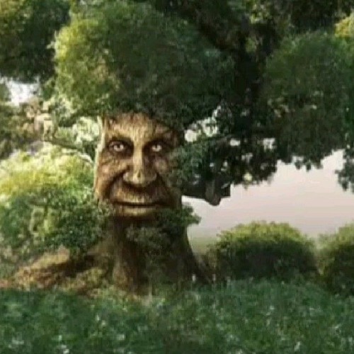 tree stump w/ yung farina & g0nz (lxxf)
