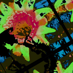 [ HALL REZONE  ] DYB