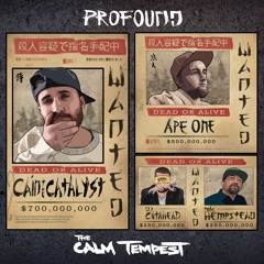 Profound (feat. DJ Cutahead, Jay Ra & Mic Hempstead)