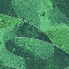 ONDAS W/ DUBBY 040525