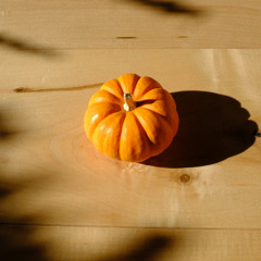 Time For November 2025