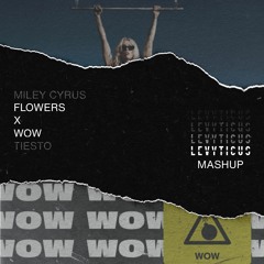 Flowers X Wow (LEVYTICUS Mashup) - Miley Cyrus, Tiësto
