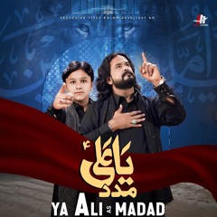 Ya_Ali__as__Madad___New_Noha___Noha_2025___Irfan_Haider___یا_علی__ع__مدد(128k).mp3