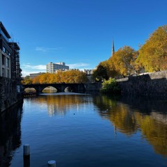 We're Going (Back) - BILL