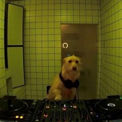 Melodic house / techno mix #9