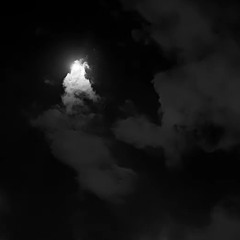 خانك حبيبك ترا