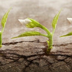 March 2023 Mix (vinyl)