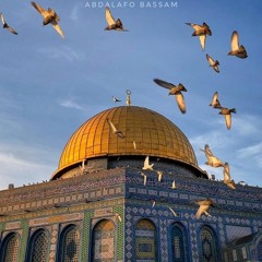 القدس قدسي | محمد حسين خليل