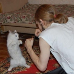 ↳ ੈ‧₊˚ ┊techno to clean your room to