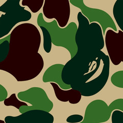 bape (tadeoexq)