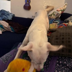 It's always christmas with sadie snow - Output.wav