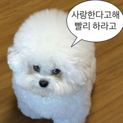 대충 만들어버린mix