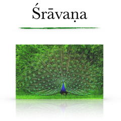 Śrāvaṇa - Red Note Ensemble - Sound Festival 2024