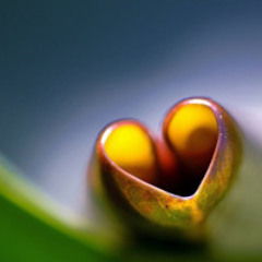 To You