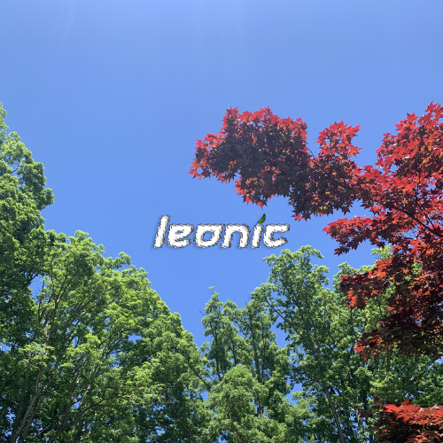 Summer Soiree (Original and Unreleased Mix)
