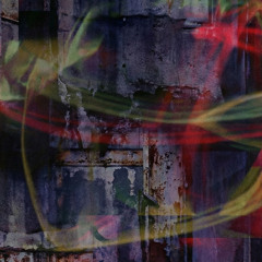 BASS 342 | LEG WORK DETOX