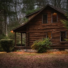 A Cabin in the Woods