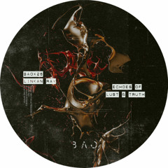 PREMIERE: Linkan Ray - Echos Of Tones [BAOX26]