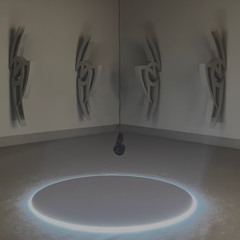 Sound Design for NEOTOTEM (exhibition by Christiane Peschek at Künstlerhaus Vienna)