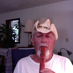 When Comes Along/A Burning Love Song(rough)