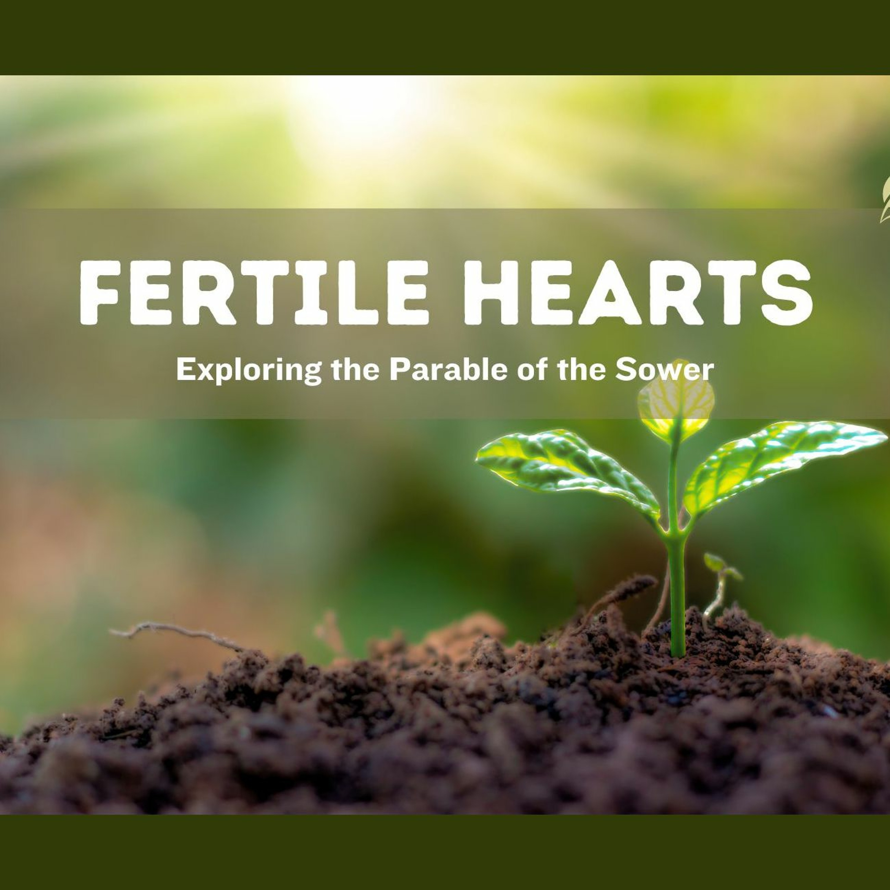 Fertile Hearts #1: Condition of the Heart episode artwork