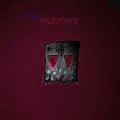 SPIDERS (MUDMANE)