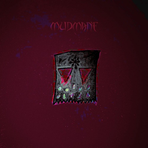 SPIDERS (MUDMANE)